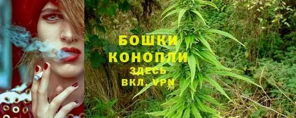 крисы Горнозаводск