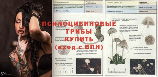спайс Горно-Алтайск