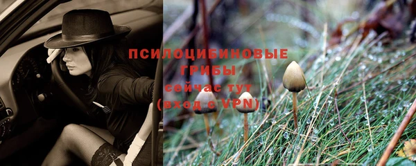 спайс Горно-Алтайск