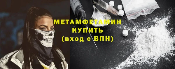 молекула духа Вяземский